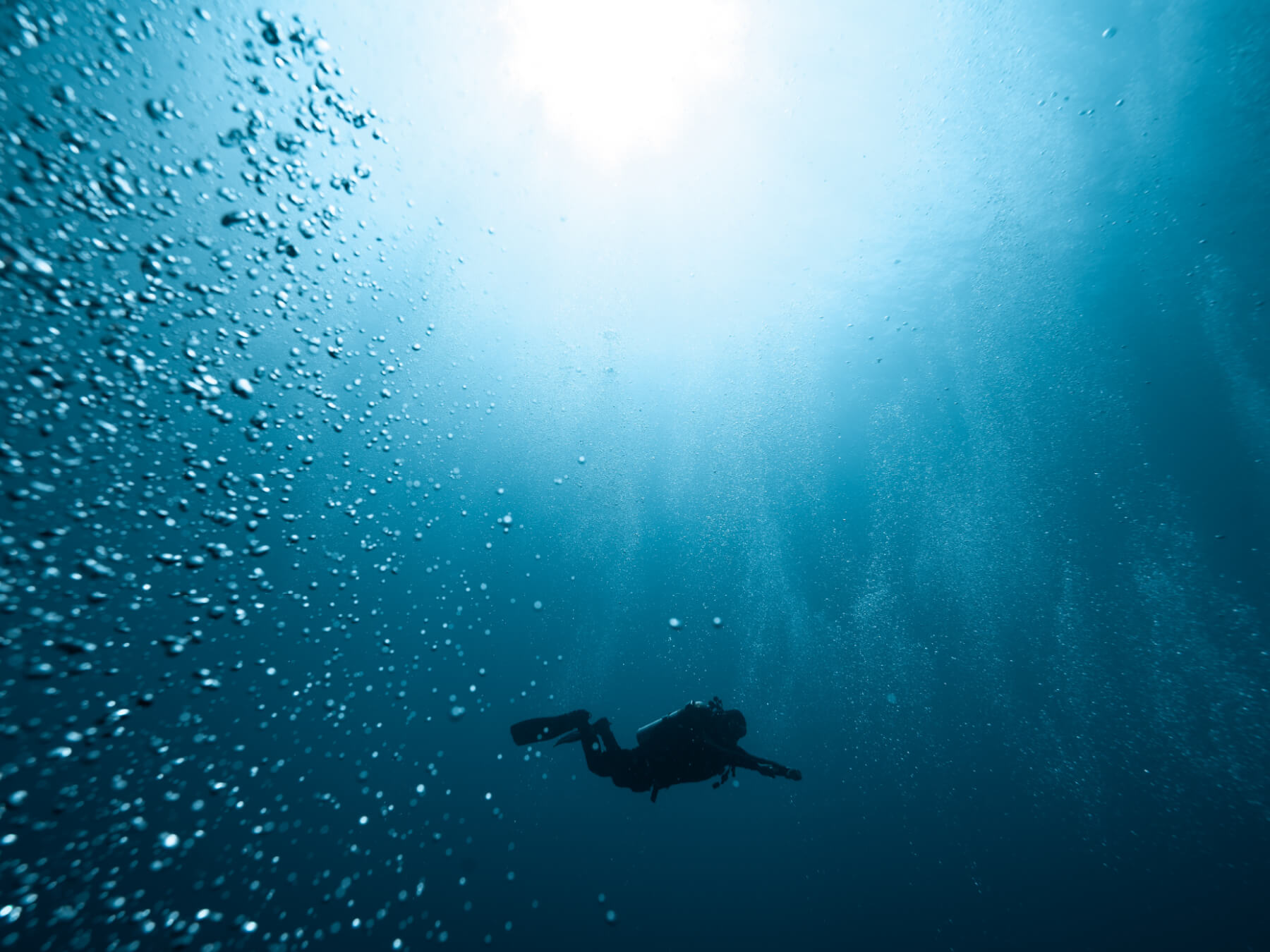 Open Water Diver Course (OWD)