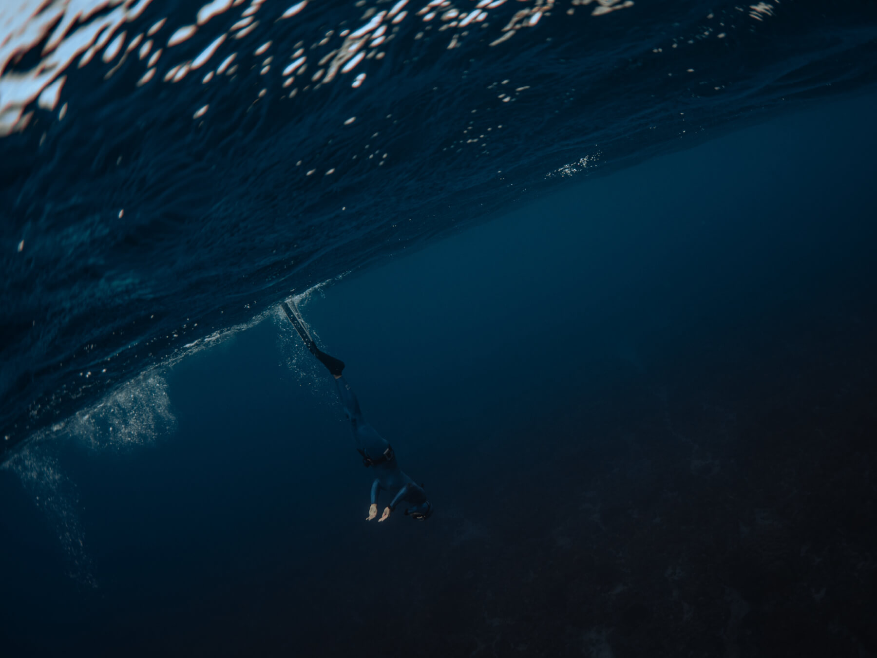 Freediver Course (Level 1)