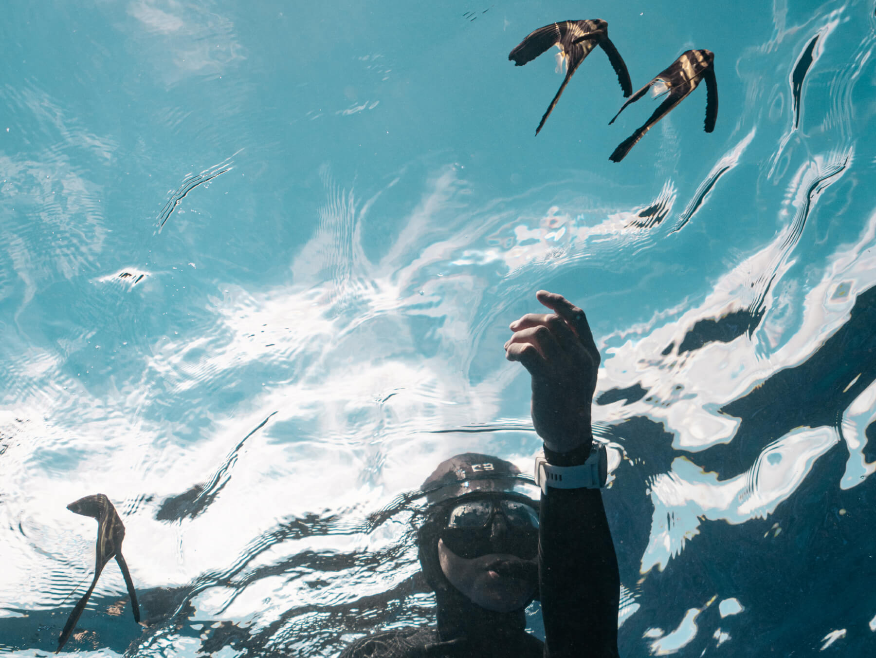 Freediving Coaching