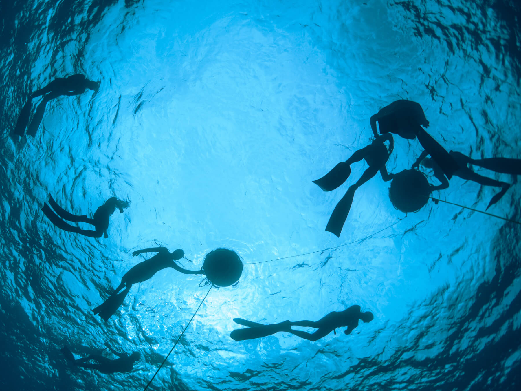 Freediving Coaching