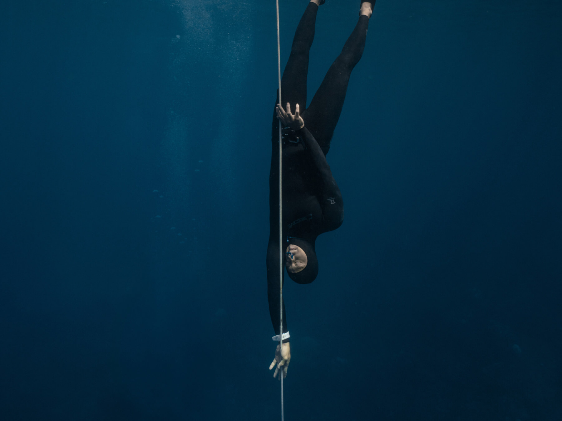 Free Immersion Course (FIM)