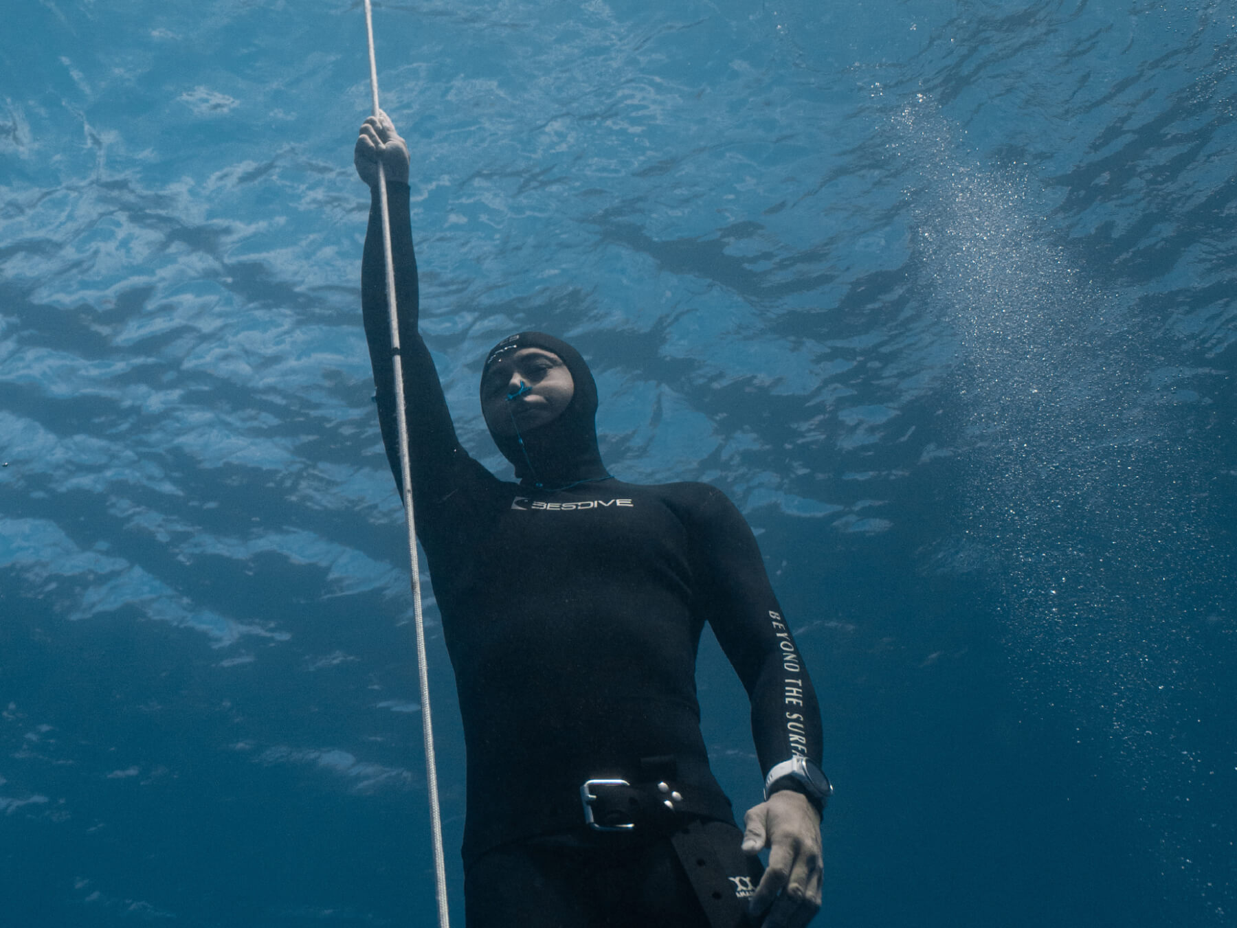 Free Immersion Course (FIM)