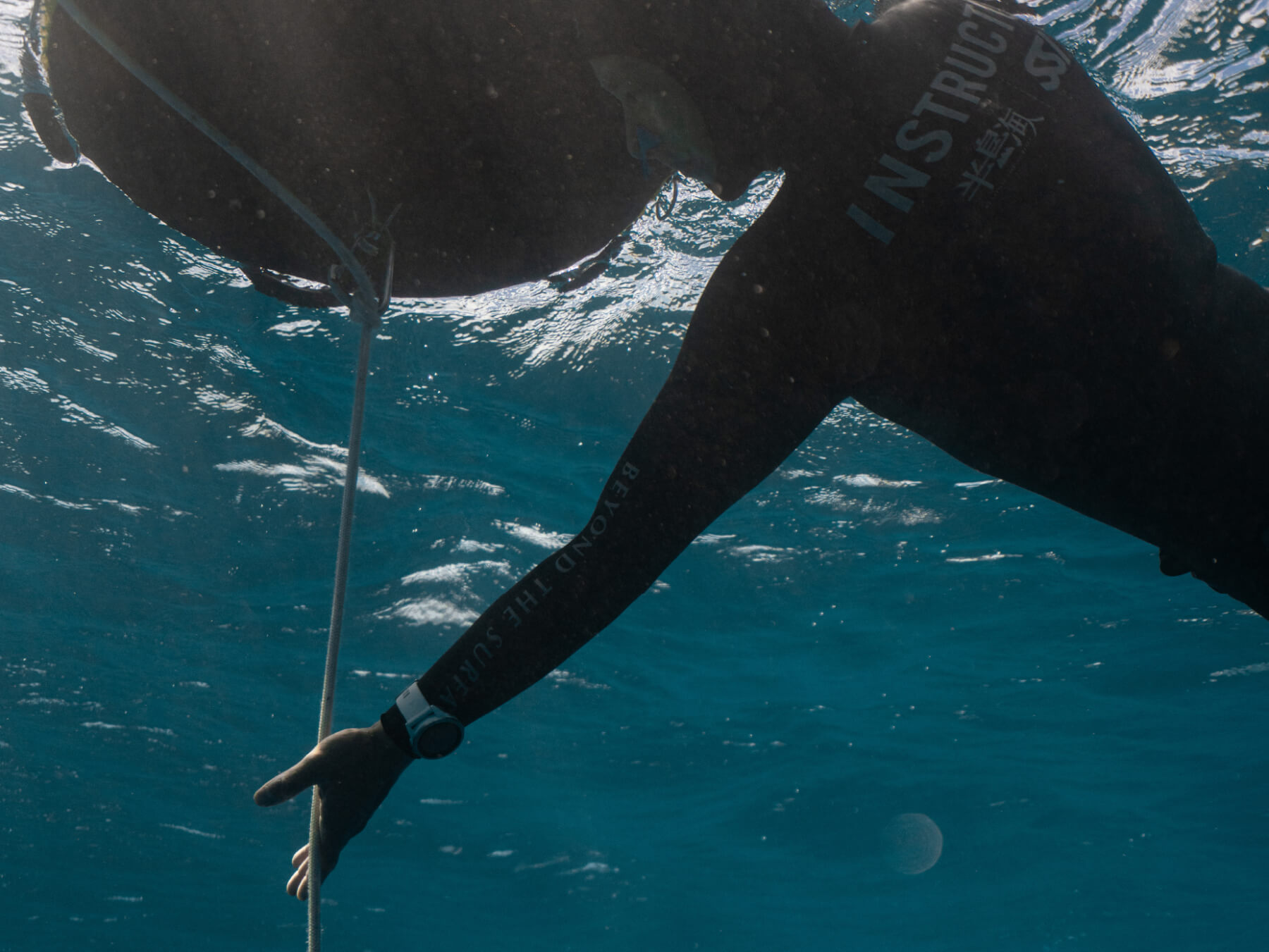 Free Immersion Course (FIM)