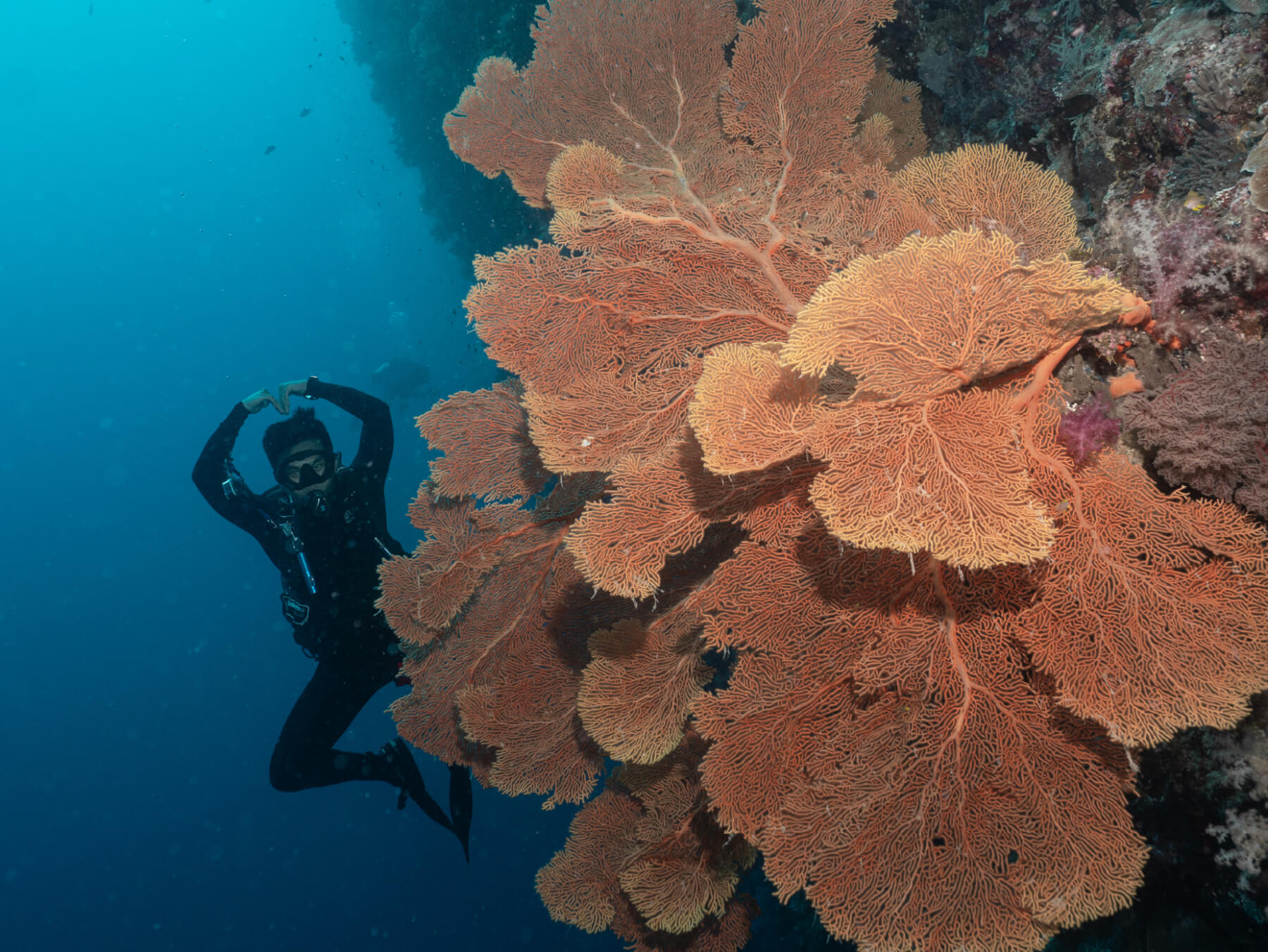 Advanced Open Ｗater Diver (AOW)