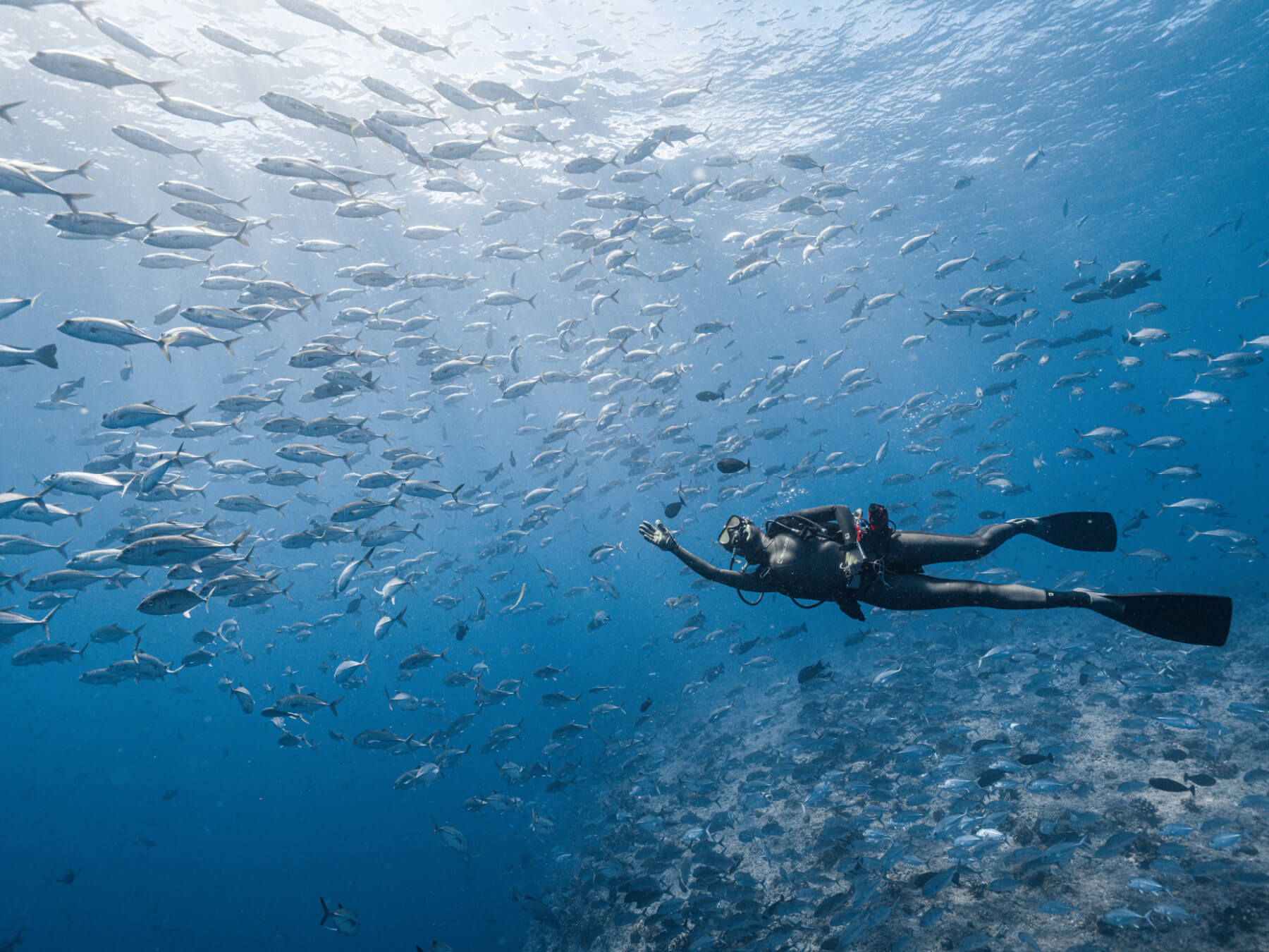 Advanced Open Ｗater Diver (AOW)