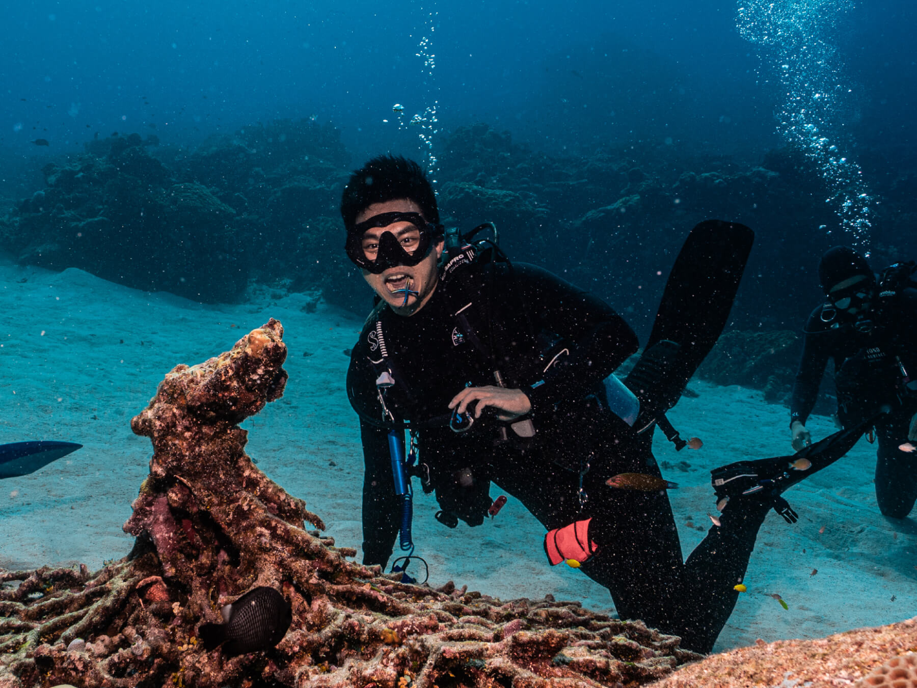 Themed Fun Dive