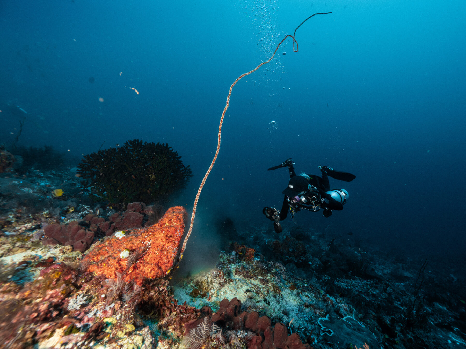 Deep Diving Course