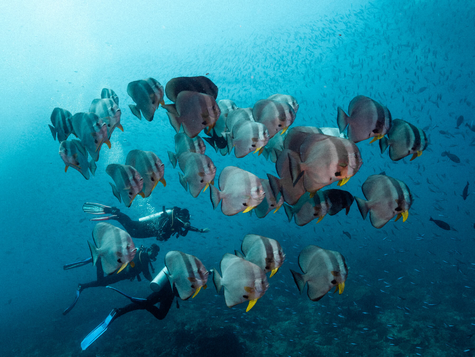 Deep Diving Course