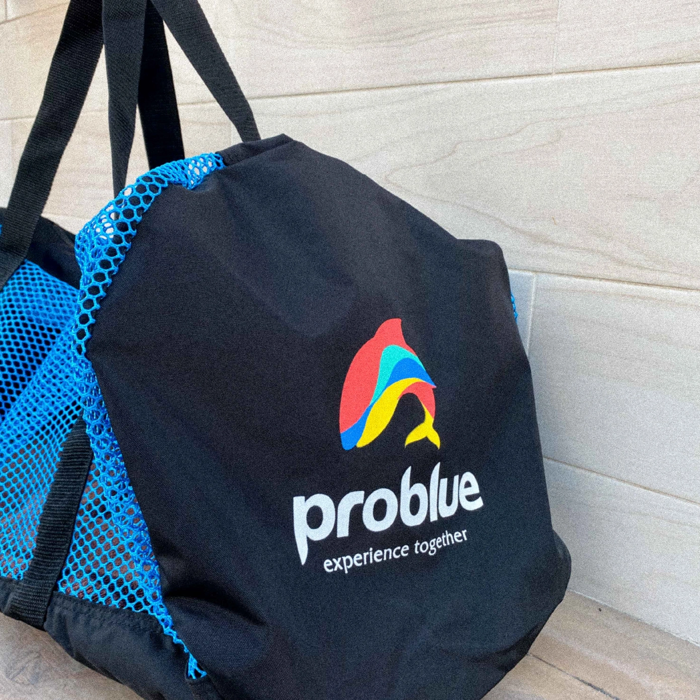 PROBLUE 裝備網袋