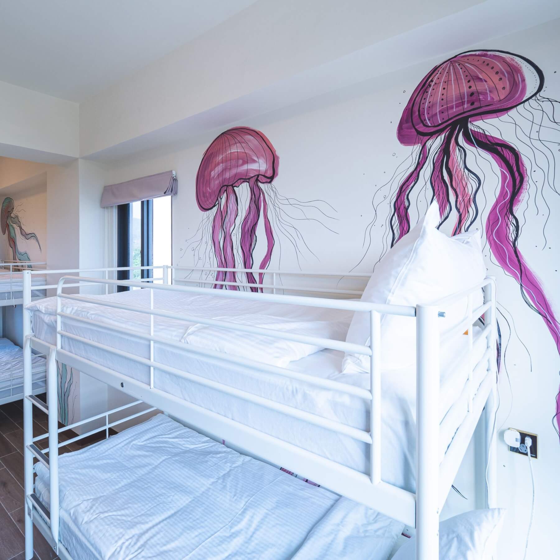 Jellyfish