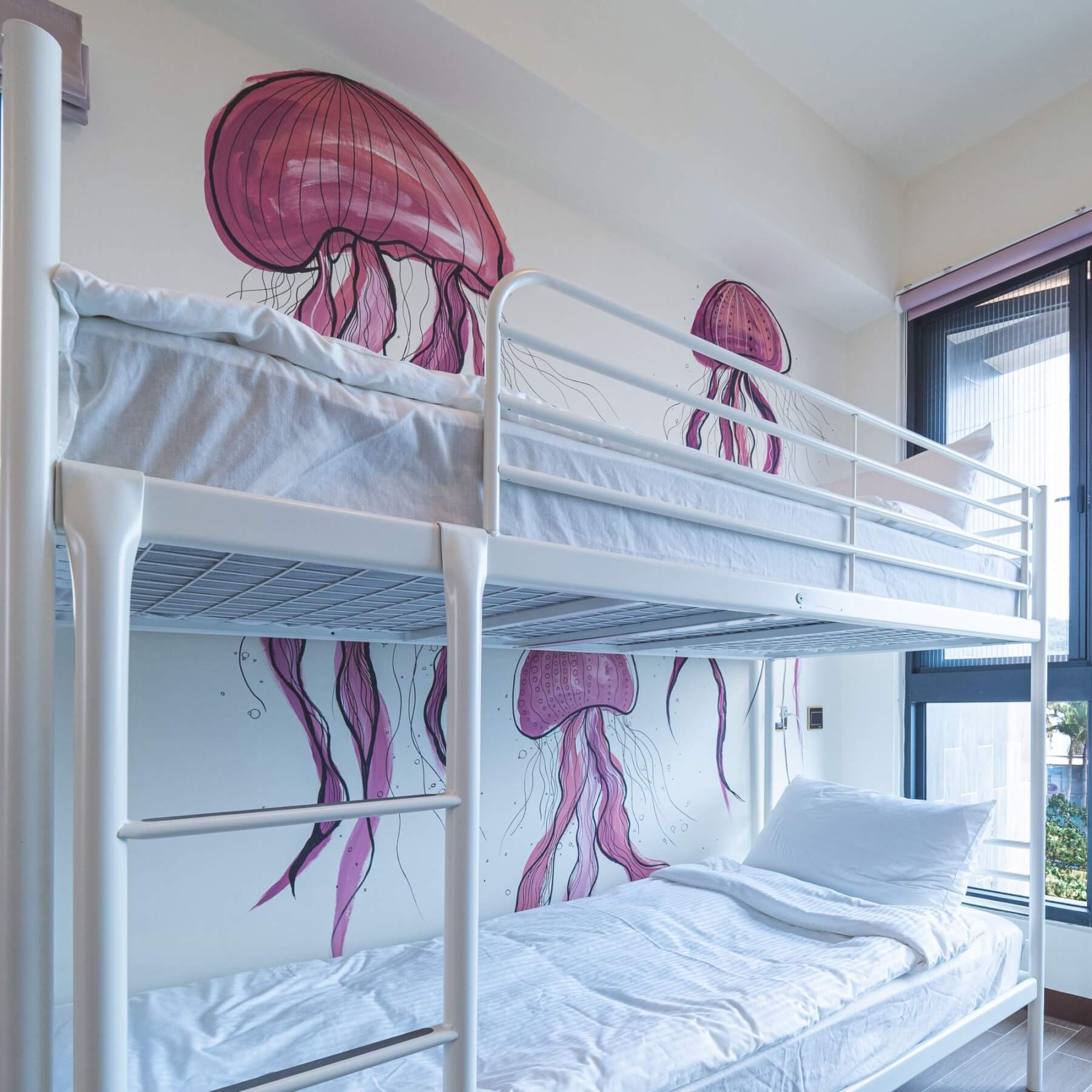Jellyfish