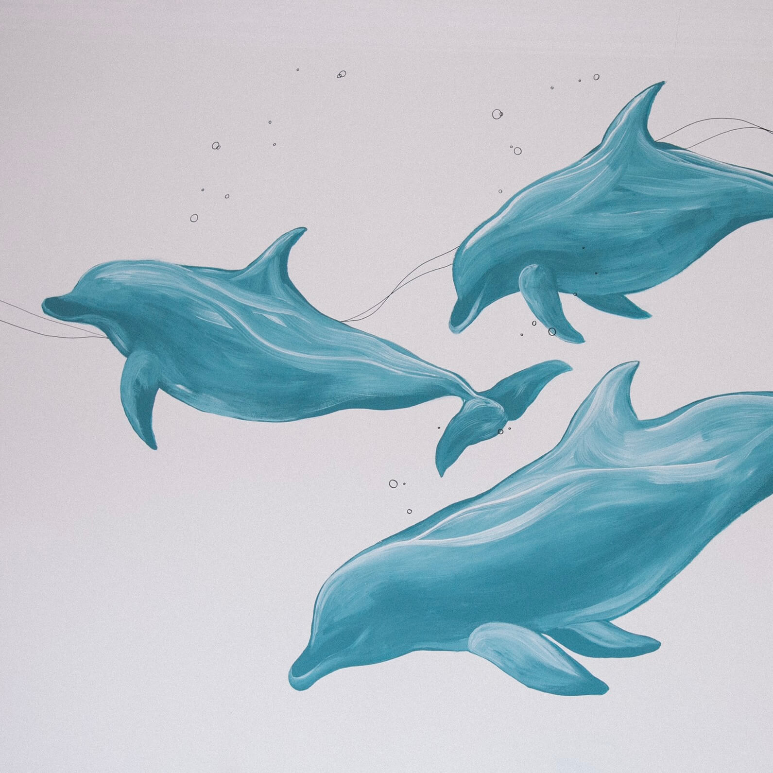 海豚房